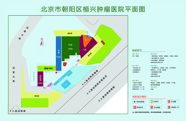 大鸡巴日B北京市朝阳区桓兴肿瘤医院平面图